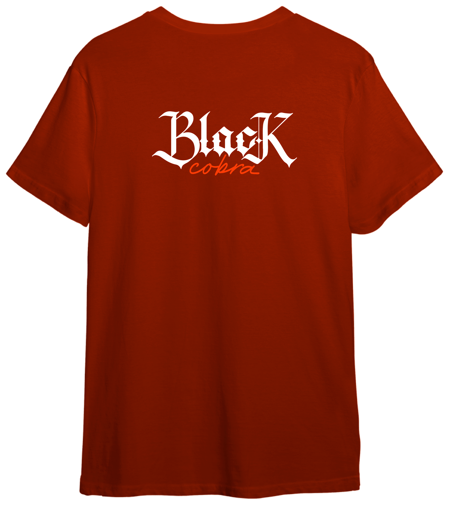 Polera estampada - Colección 2026