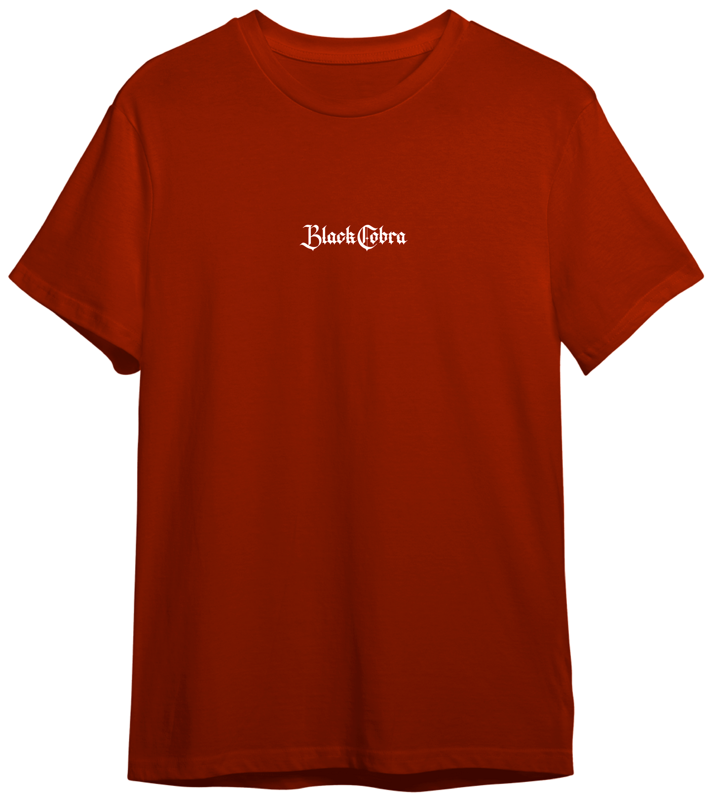 Polera estampada - Colección 2026